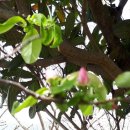 신전농장 이미지