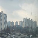 개림프라자 이미지