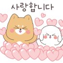엠디테크 이미지