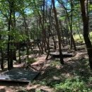 성주봉자연휴양림 야영장 이미지