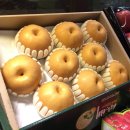 이레청과 이미지