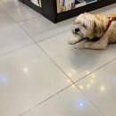 양양서점 네이버블로그