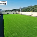 잔디놀이터 이미지