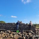 제주돌담 이미지