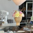 따뜻한 산들바람 이미지