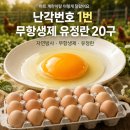 [공지] 계란 난각번호 1번 유정란, 숫자별 차이와 특징 정리해 봤어요