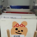 그립톡 양모펠트 | 별내 소품샵 추천 수부작수부작 내돈내산 후기