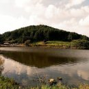 제주오름수산