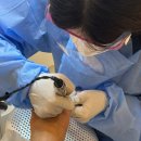 푸스케어 청량리역점 이미지