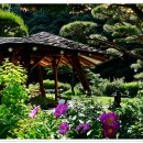 내추럴 가든 Natural Garden 이미지