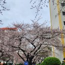 남천동 삼익비치B상가 주차장 이미지