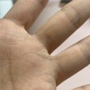 N 피티짐 | 상암 pt 8회차 후기 헬시온짐 4키로 감량 성공
