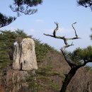 하늘재길 이미지