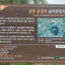 상주 공검지 이미지