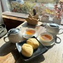 시인의 공원 | 양산 황산공원 카페 추천 나만 알고 싶은 카페; 시인과나