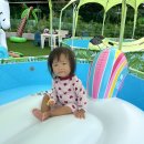 진강정 세종점 | 주말일상 세종나들이, 청주나들이(추천받은 닭강정집 세종진강정, 언덕위에찻집, 청주 그래시힐)
