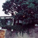 초원여인숙 이미지