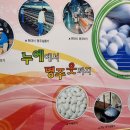 함창명주박물관 이미지