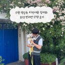 수원 행궁동 파란대문 장미와 화성 반려견 동반 후기