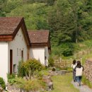 스테이너와 이미지