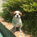 동이몽이 이미지