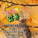 11월7일 뉴스브리핑 이미지