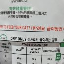 리버풀동물병원 이미지