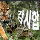 댄스스포츠.리듬짝 이미지