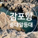 등대목욕탕 이미지