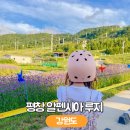 평창 알펜시아 리조트 루지 놀거리 부대시설 정보