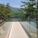 레드브릿지 이미지