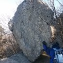 남근농장 이미지