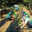 논현1동-9 이미지