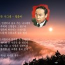 김정보 이미지