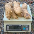 가지산천마영농조합 이미지