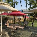 월출향가 이미지