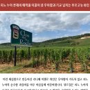 에노테카압구정점 이미지