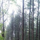 문장대민박 이미지