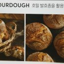 브래드윤 이미지