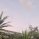 7 세븐세탁소 이미지