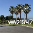 윈드1947 테마파크 후기ㅣ카트라이더 현실판ㅣ제주 카트체험ㅣ 한국 최대규모 카트체험장ㅣ내돈내산