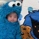 모모데이 | 아기 50일 셀프촬영 소품 대여 모모데이 내돈내산 후기