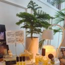 피부향기 스킨앤바디 이미지