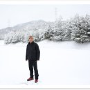 한일맛집 이미지