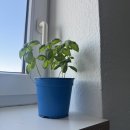 3501 | 쮜른, 하우스 베를린 3501호 입주자에게