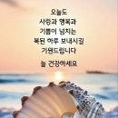 힘내시게 이미지