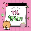 B.D ENG | [TIL 챌린지] 1. 프로그래밍 기초 (1~2주차)