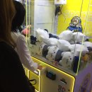 뽑기언냐 이미지