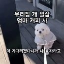 루틴커피 이미지