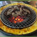 신마포갈매기 이미지